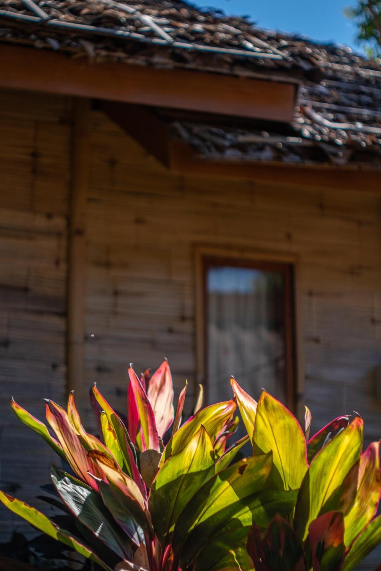 The Nest House Hotel Paj Kültér fotó
