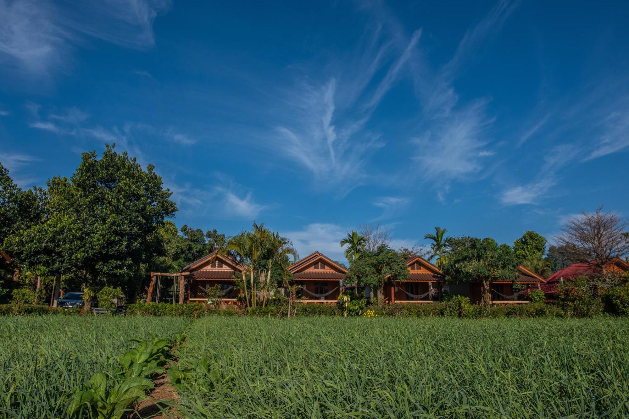 The Nest House Hotel Paj Kültér fotó