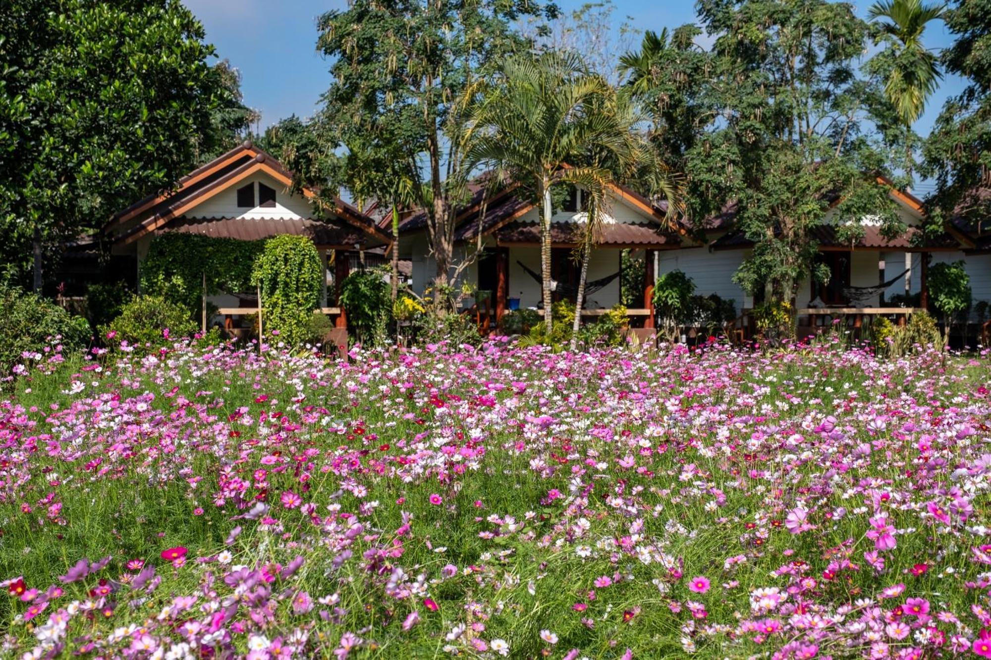 The Nest House Hotel Paj Kültér fotó