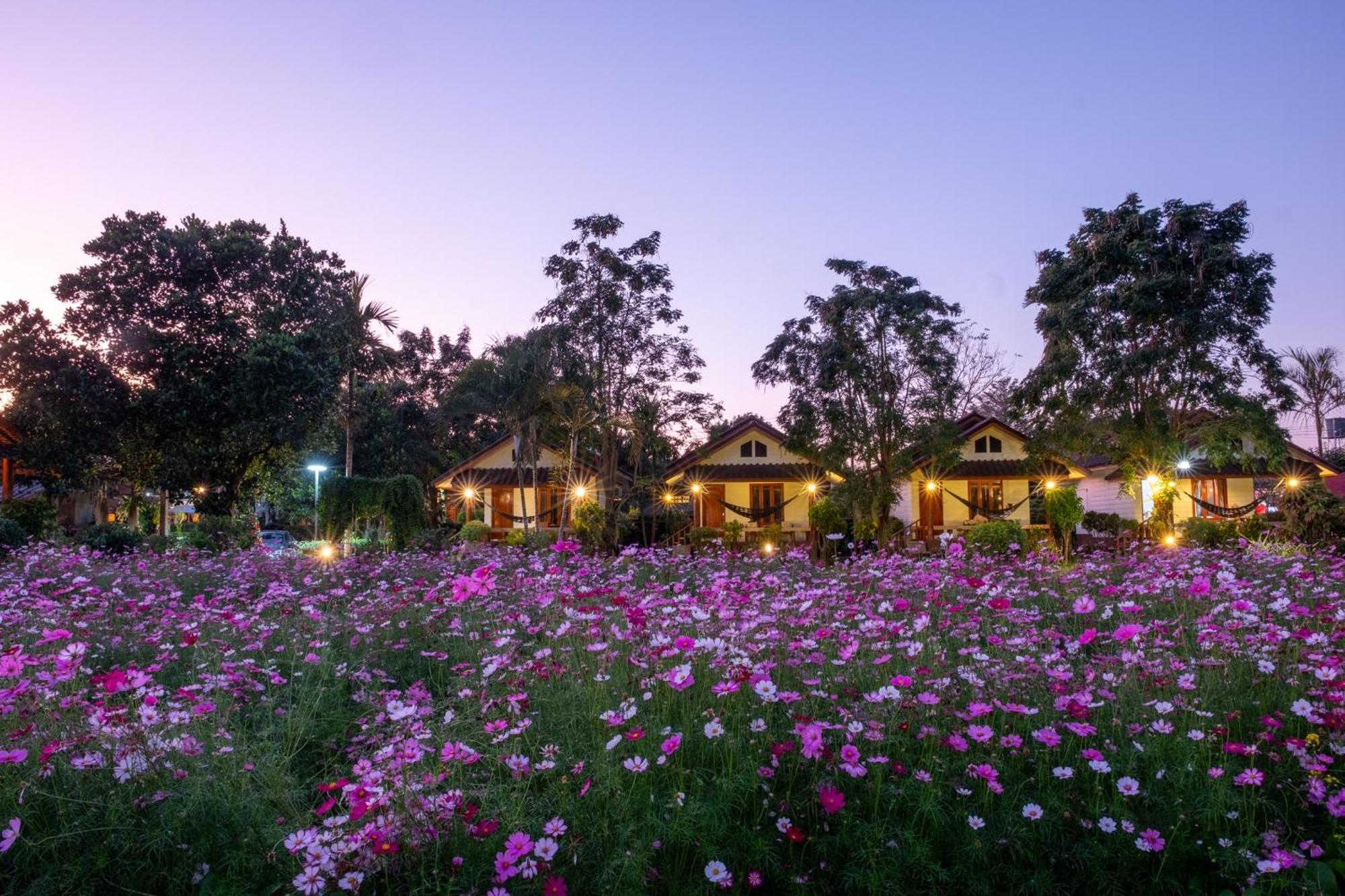 The Nest House Hotel Paj Kültér fotó