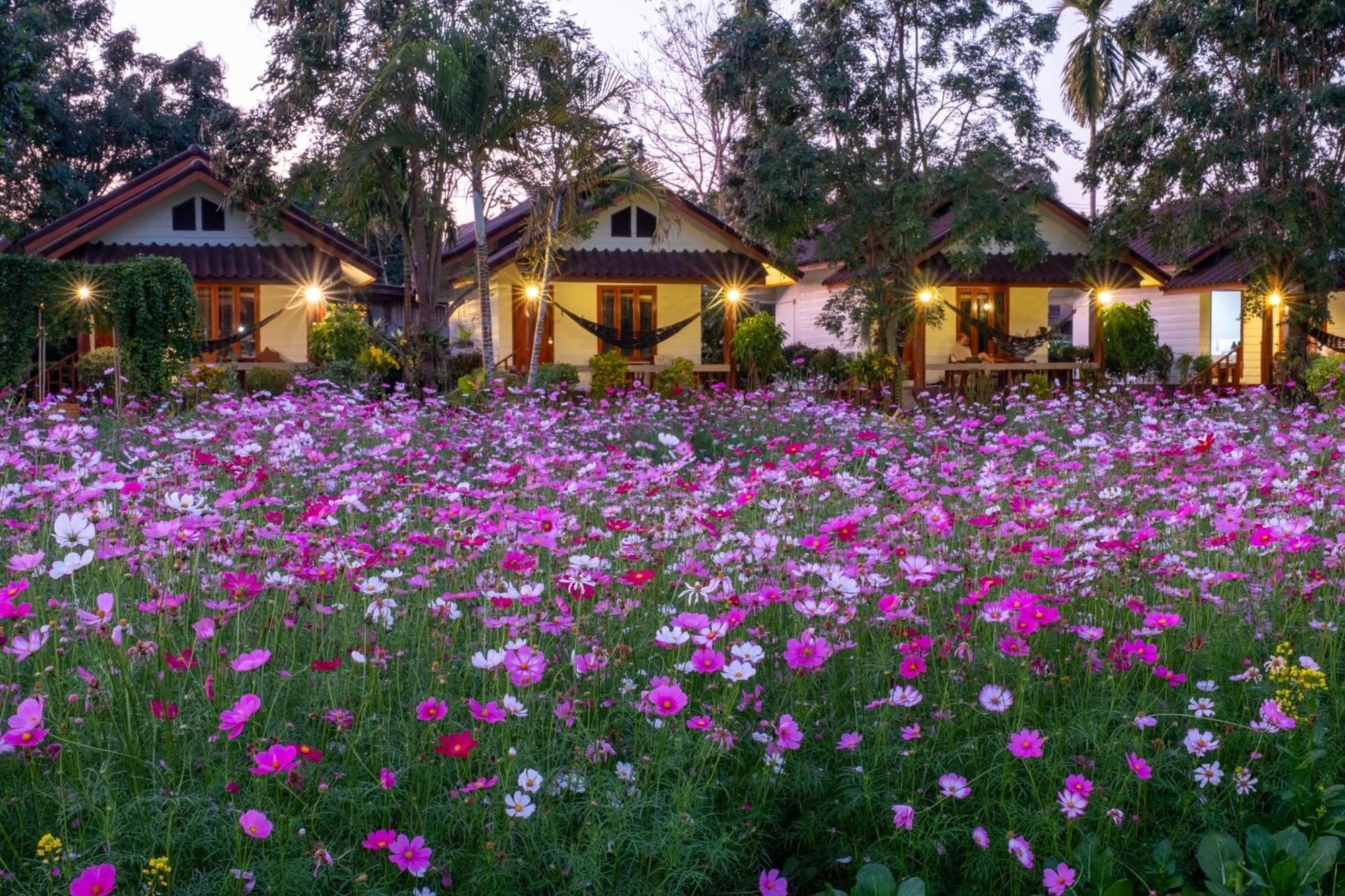 The Nest House Hotel Paj Kültér fotó
