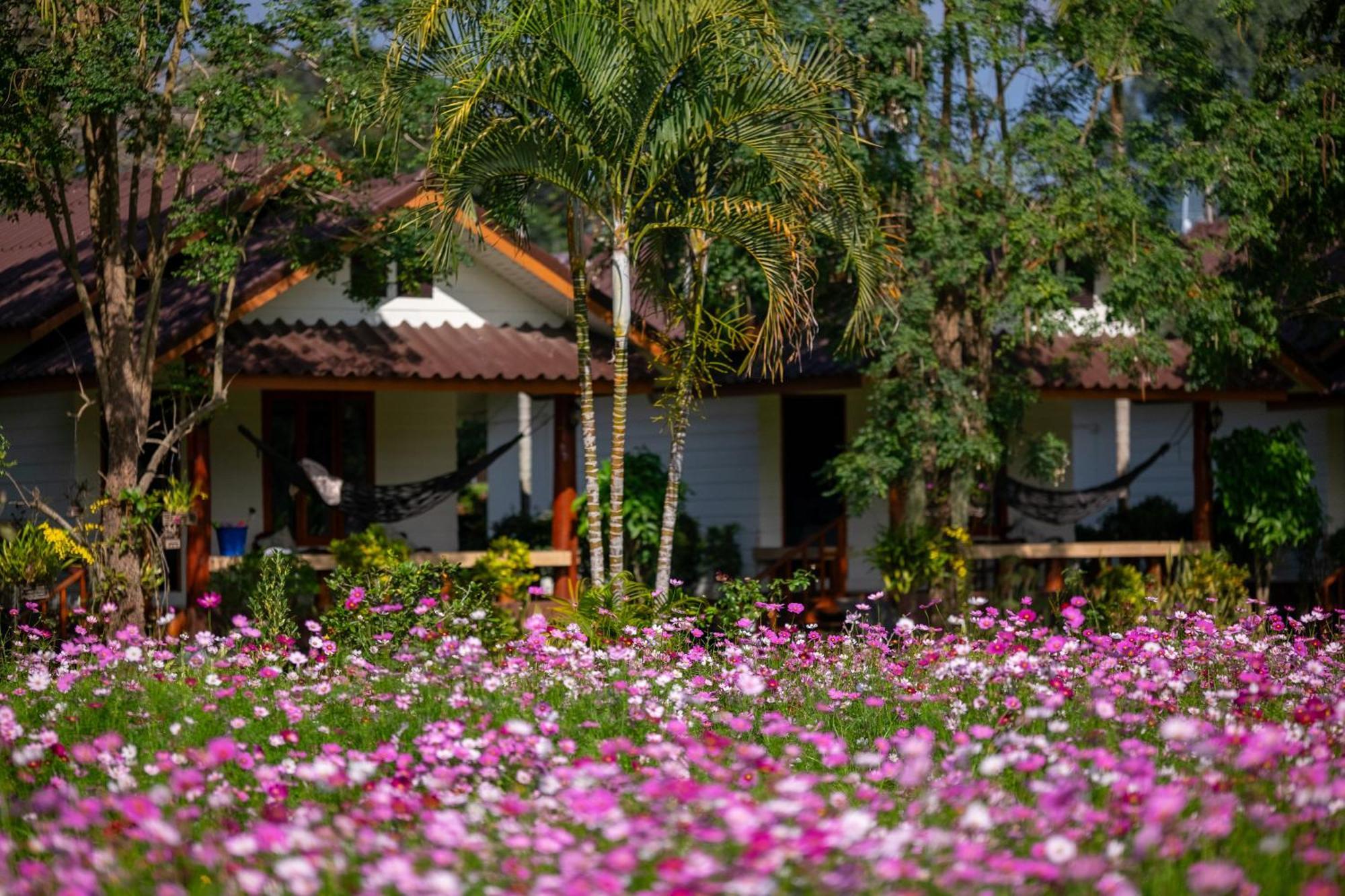 The Nest House Hotel Paj Kültér fotó