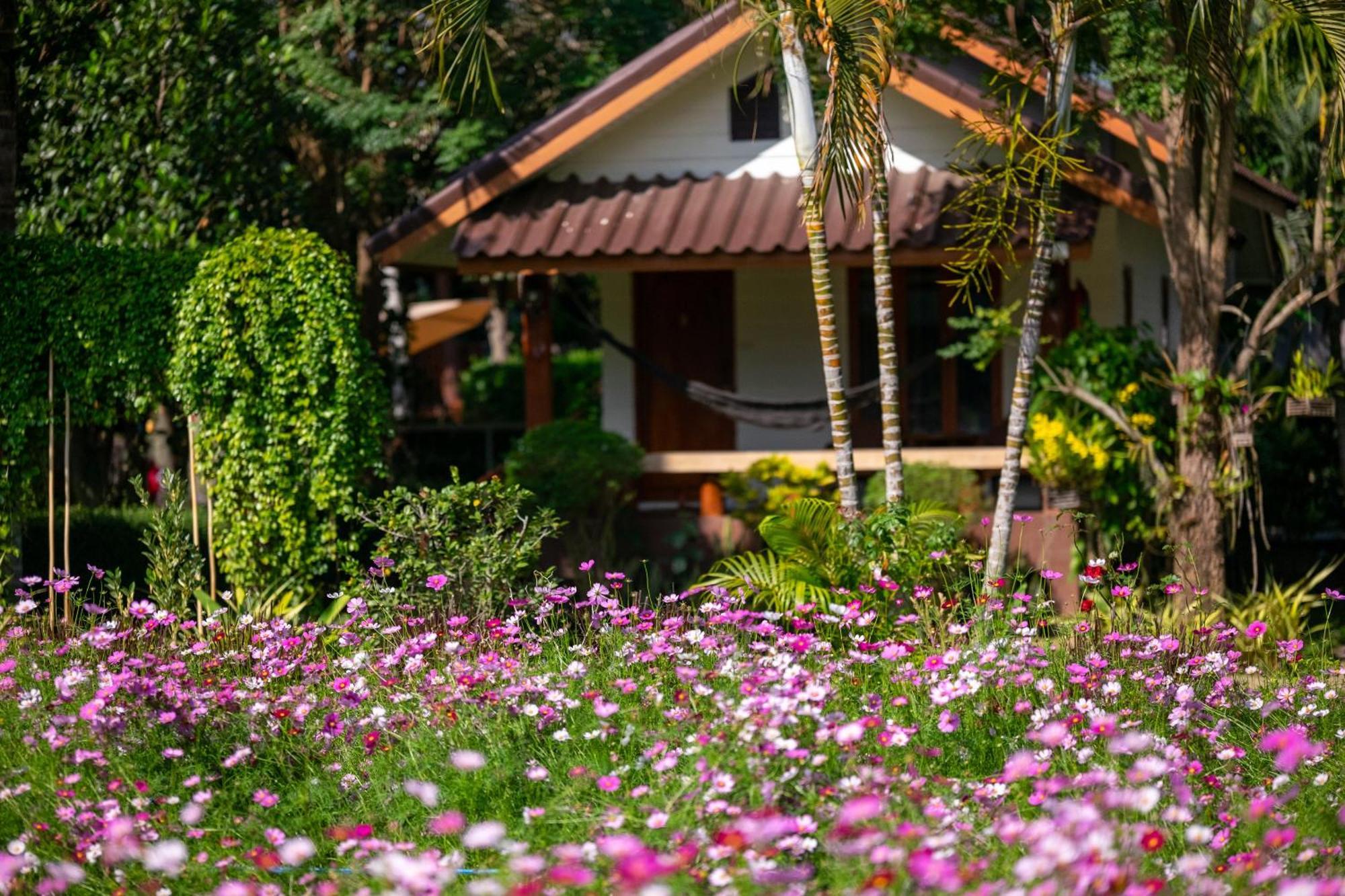 The Nest House Hotel Paj Kültér fotó